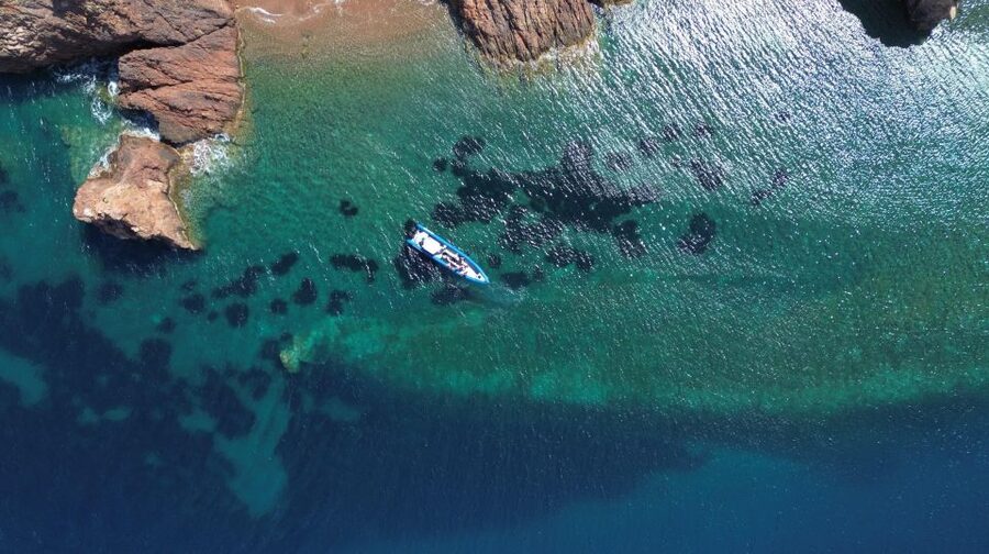 Nice: Lerins Islands Boat Tour with Snorkeling - Time ashore on Sainte-Marguerite Island