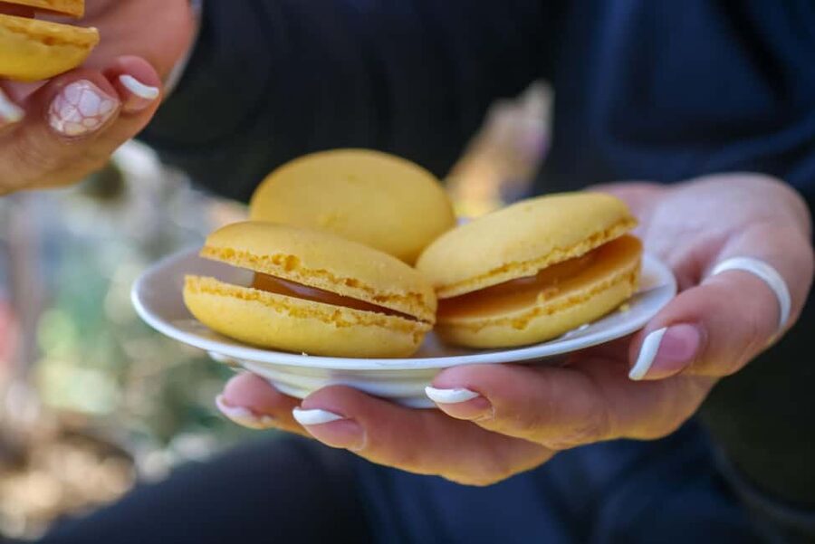 Nice: Old Town Food Walking Tour - Wine, bread, cured meat, and cheese in the middle of the walk