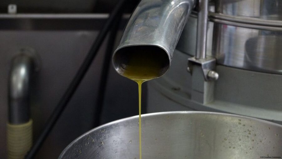 Nice: Provence Village Tour with Wine and Produce Tasting - Opio and the 15th-century oil mill
