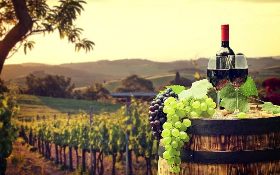 Nice: Provence Village Tour with Wine and Produce Tasting - Biot and its famous glassmaking