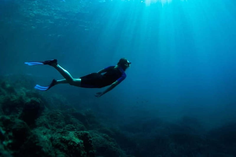 Nice: Snorkeling Speedboat Tour in Villefranche Bay - The return ride and the Riviera views