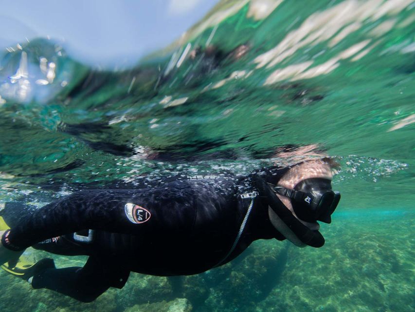 Nice: Snorkeling Speedboat Tour in Villefranche Bay - Timing, price, and practical value