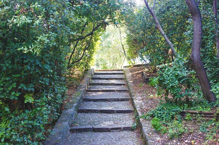 Nice: Theatrical History Tour - Secrets of the Castle Hill - Should You Book the Castle Hill History Tour?