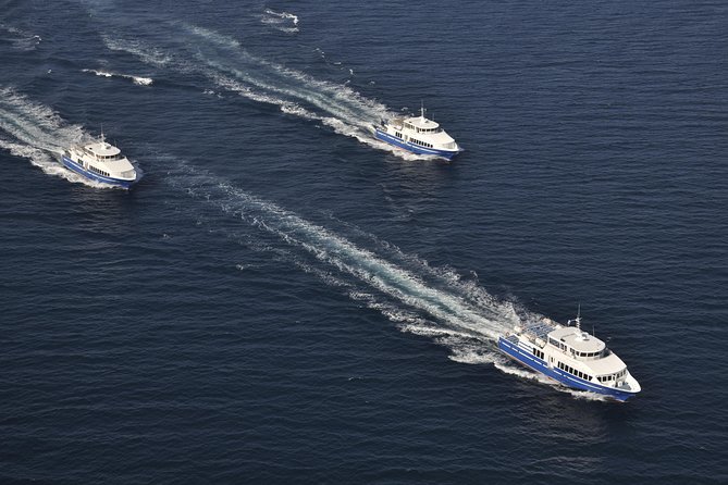 Nice to St Tropez Ferry Ticket and Cruise - Price and overall value