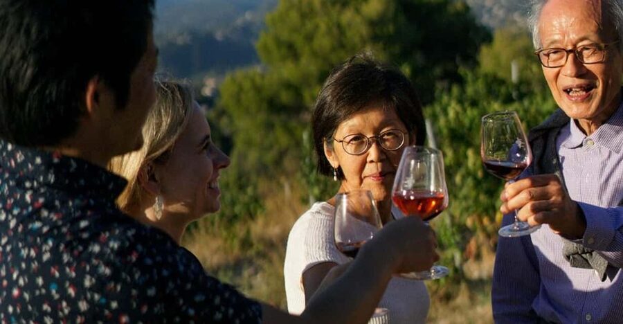 Nice: Vineyard Tour with Wine Tasting - Walking through the vineyard