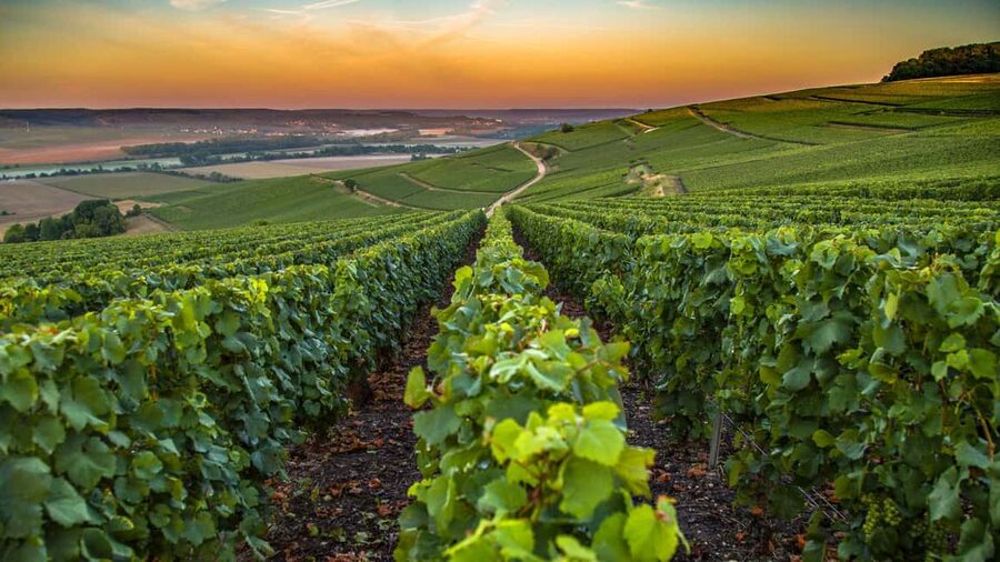 Organic Wine Tasting with Saint paul Half Day Tour from Nice - Key points at a glance