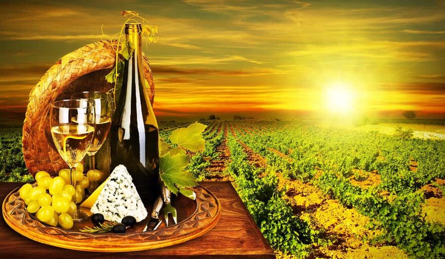 Organic Wine Tasting with Saint paul Half Day Tour from Nice - Saint Jeannet and the small estate tasting