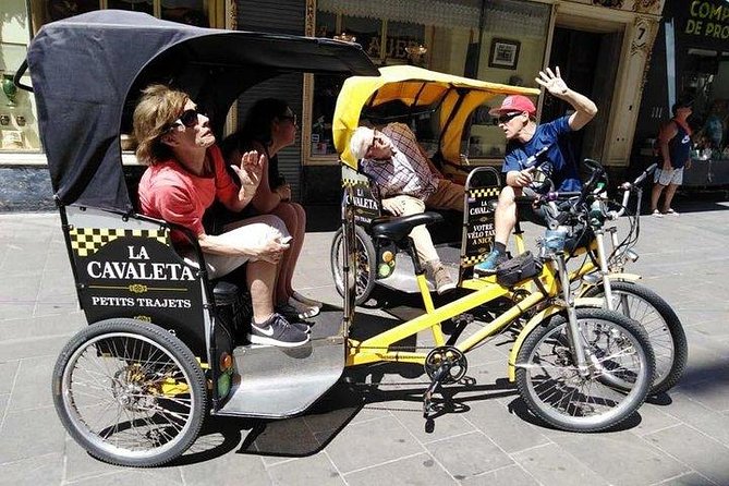 Original Nice city tour ( pedicab-vélo taxi) - Monument aux Morts and Quai Rauba Capeu