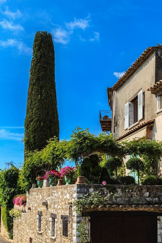 Private Customized French Riviera Tour from Port Villefranch - What the private format changes