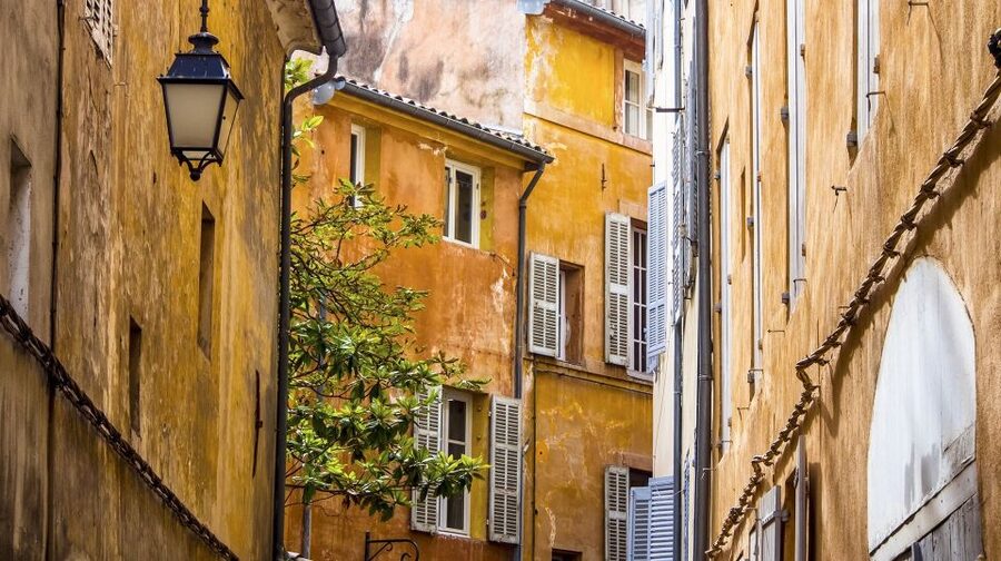 Private Day Trip to Provence and Lavender Fields - Should you book it?