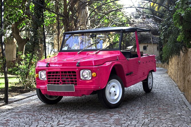 Private excursion from Villefranche in Citroën Méhari to Eze and Monaco - Who will enjoy this private excursion most?