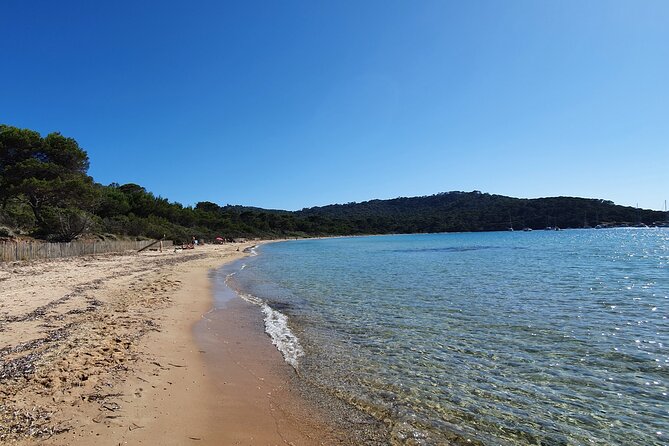 Private full-day boat trip to Porquerolles - Key points to know before you book