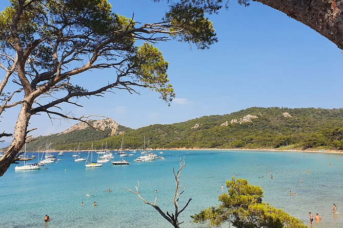 Private full-day boat trip to Porquerolles - Practical details that affect your decision