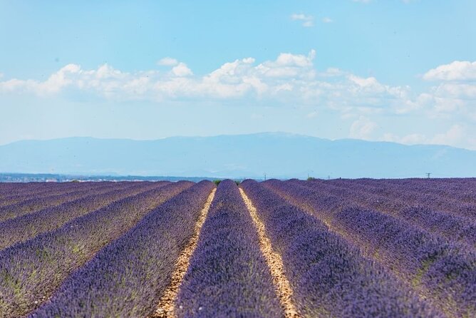 Private Tour of Gorges of Verdon and Fields of Lavender in Nice - Castellane and the first views of Verdon