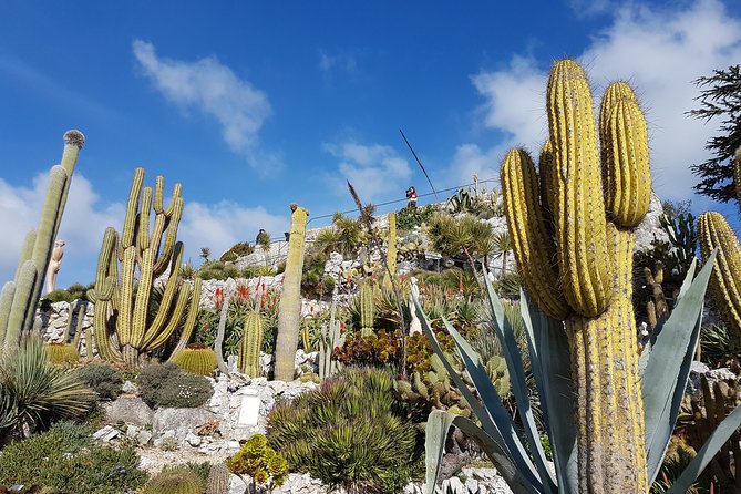 Private Tour of Nice, Monaco & Eze with a local guide - Timing, comfort, and the cruise-port connection