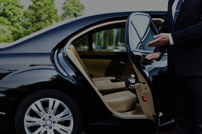 Private Transfer from Airport Nice to Monaco/ Monte Carlo - What the car may be like