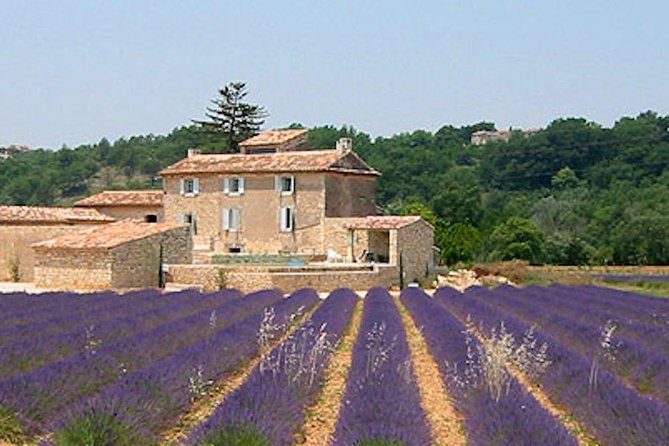 Provence and Lavender - private & Guided Full Day Tour - Key points to know