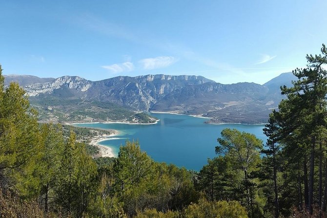 Provence and Lavender - private & Guided Full Day Tour - Timing, pickup, and the real cost