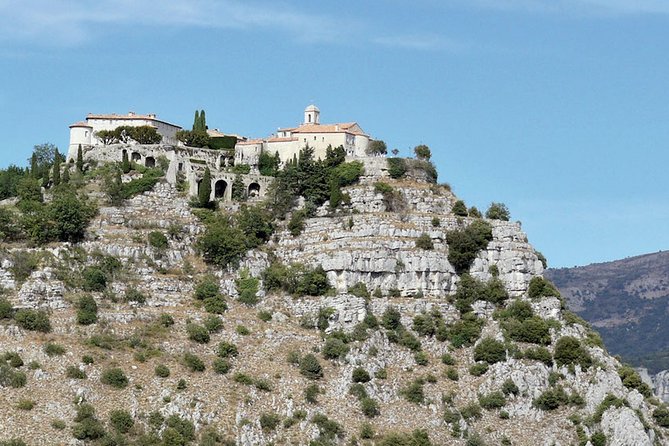Provence and Lavender - private & Guided Full Day Tour - Who will enjoy this most