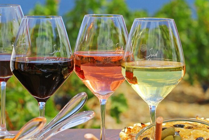 Provence Organic Wine Tasting Half Day Tour from Nice - Why this five-hour outing works best as a gentle escape from Nice