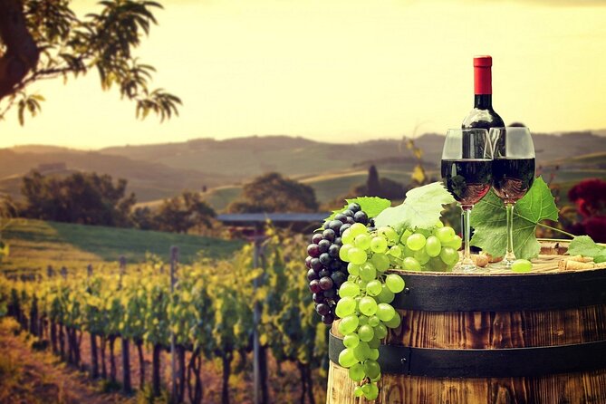 Provence Organic Wine Tasting Half Day Tour from Nice - Pickup from Nice and the importance of timing