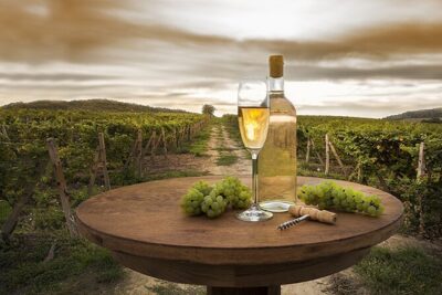 Provence Organic Wine Tasting Half Day Tour from Nice