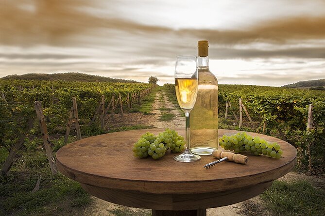 Provence Organic Wine Tasting Half Day Tour from Nice - St-Paul-de-Vence in one short hour