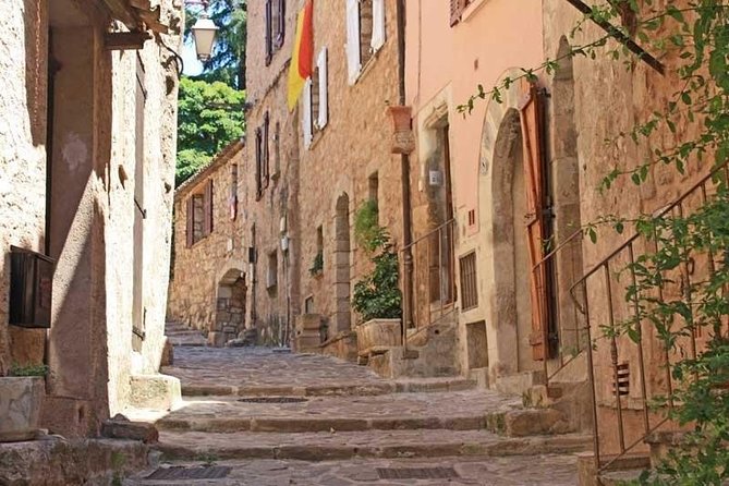 Provence Private Full Day Wine Tour with Wine Tasting - Local food, tapenade, socca, and a possible truffle lunch