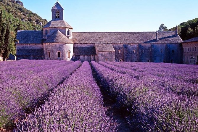 Provence Sea & Countryside Full-Day Private Tour - Cannes and La Croisette: the polished opening