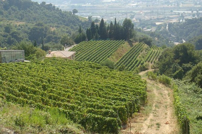 Provence Sea & Countryside Full-Day Private Tour - St-Paul de Vence: art behind medieval walls