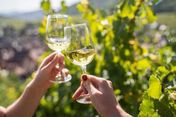Provence, Vineyards and Lavender Fields Private Day Trip - Why this private day trip works from Nice