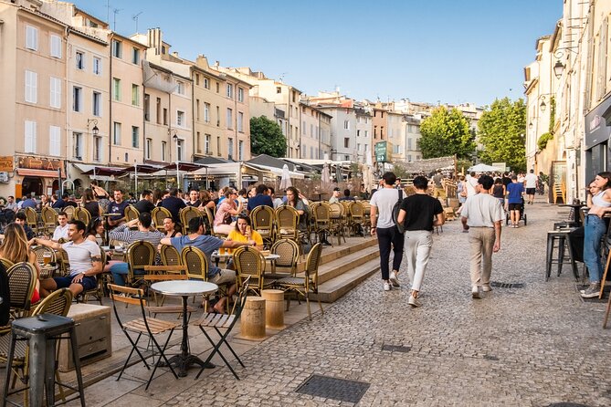 Provence, Vineyards and Lavender Fields Private Day Trip - The Lake Sainte-Croix possibility