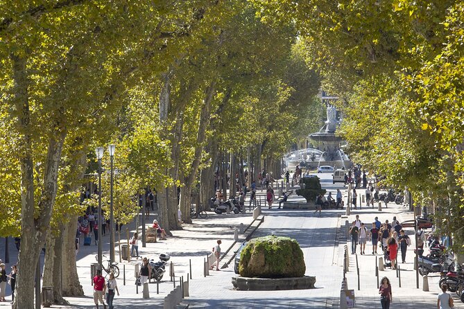 Provence, Vineyards and Lavender Fields Private Day Trip - Three hours in Aix-en-Provence