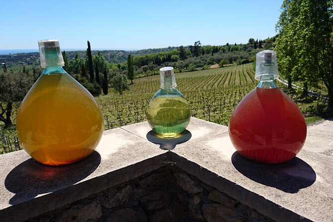 Provence Wine Tour - Private Day Tour from Antibes - Who should book this tour?