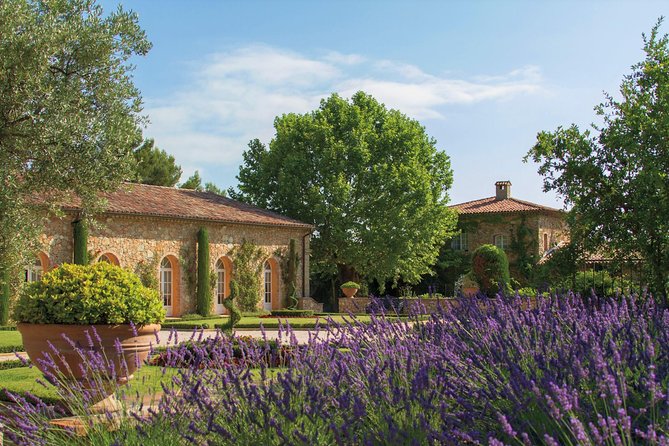 Provence Wine Tour - Private Day Tour from Cannes - What the private format changes