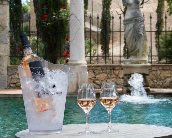 Provence Wine Tour - Private Day Tour from Nice - Key points to know before booking