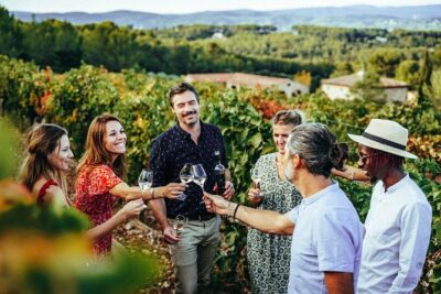Provence Wine Tour – Private Day Tour from Nice