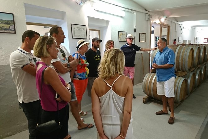 Provence Wine Tour - Private Day Tour from Nice - Lunch in a village or at a vineyard