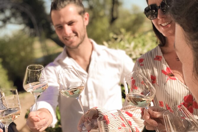 Provence Wine Tour - Small Group Tour from Cannes - What the guides add to the day