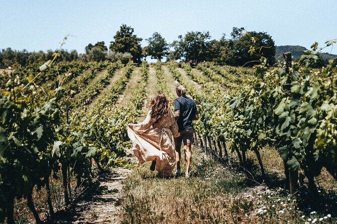 Provence Wine Tour - Small Group Tour from Nice - Practical details that can affect your day