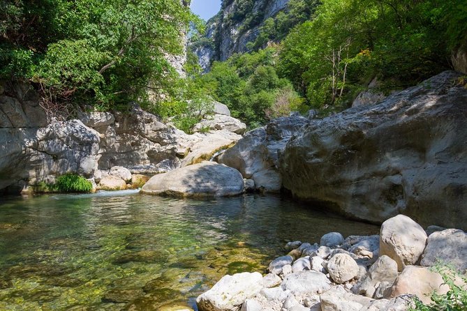 Saint-Paul-de-Vence and Wine Tasting Afternoon tour from Nice - Timing, cancellation, and practical details