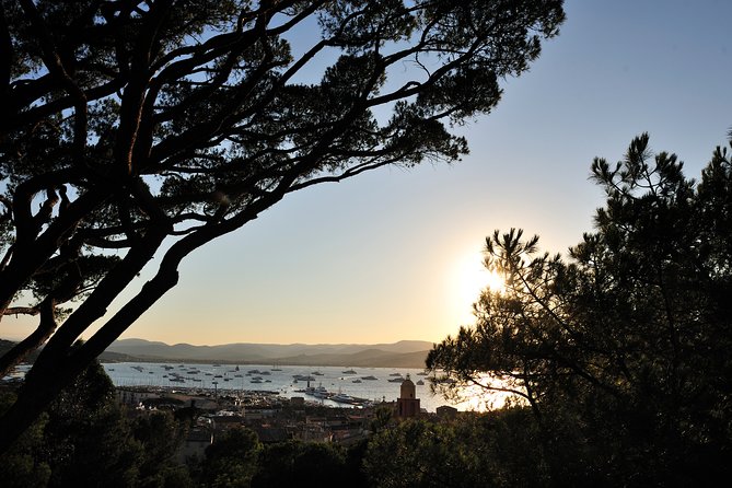 Saint-Tropez and Port Grimaud Day from Nice Small-Group Tour - What the guide adds, and where the experience can vary
