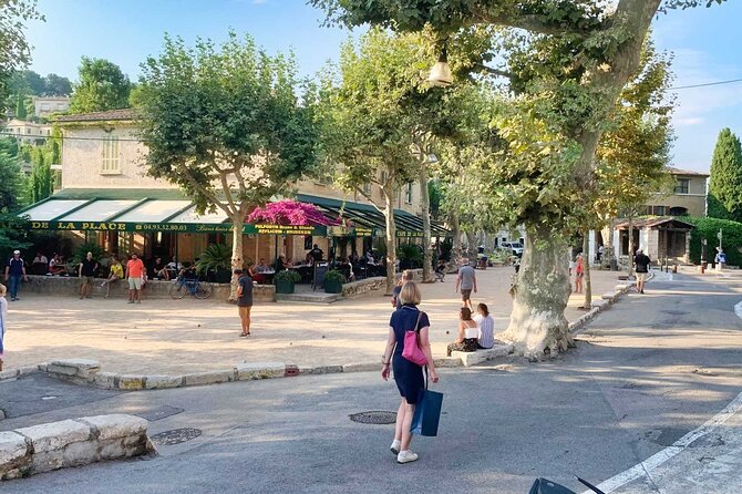 Taste of Provence, Countryside Villages - Half Day Private Tour - The private vehicle changes the day