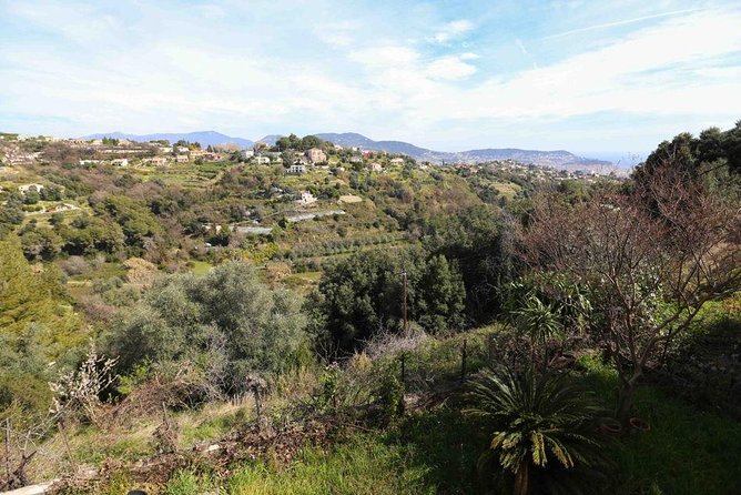 Viator Exclusive: Local Cooking Class & Dinner with View of Nice - Is $139.13 a fair price?