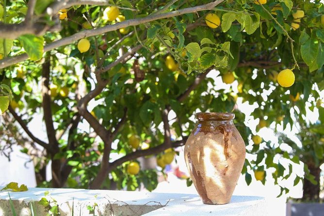 Viator Exclusive: Local Cooking Class & Dinner with View of Nice - Who will enjoy this evening most?