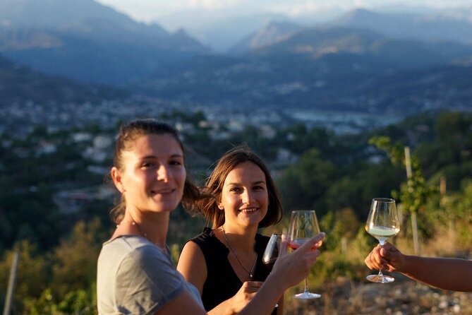 Vineyard Tour with Wine Tasting within Nice city borders - Key points to know before you book