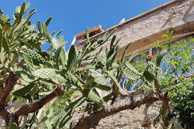 Visit of the Medieval Village of Èze - Notre-Dame-de-l’Assomption and its Italian details